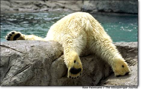 [����]�������ȥ��?