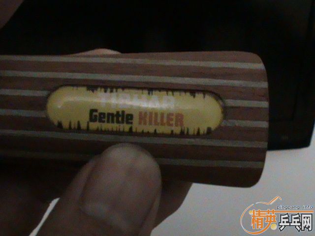 ���Գ���ֹ�գ����������װ壡��������������������������������������