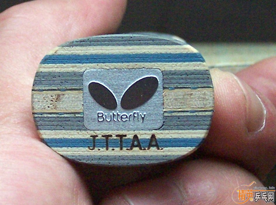 Butterfly Viscaria FLβô