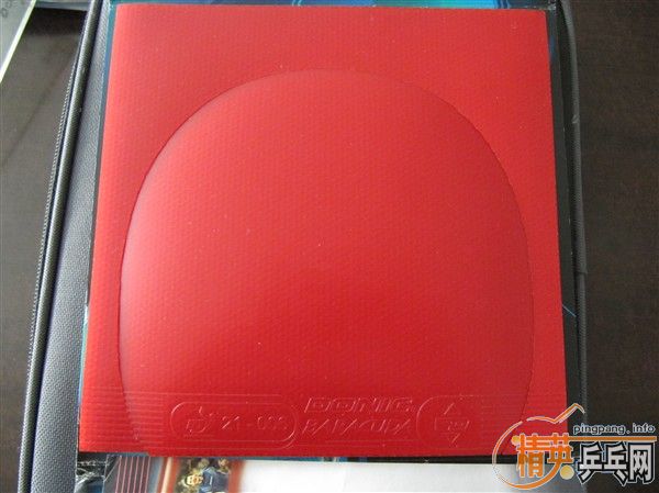 �����Baracuda�����׽���12080��������T25��ֱ������zlc���档�����ʮ���ӡ�