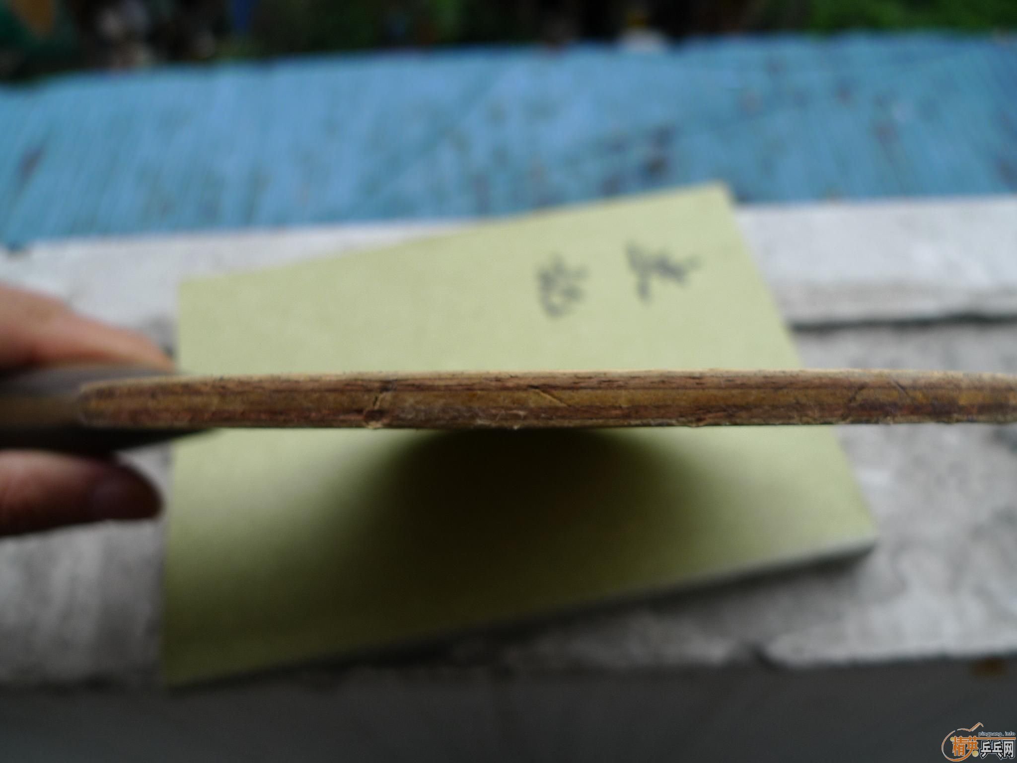 ��������С����������רҵ��