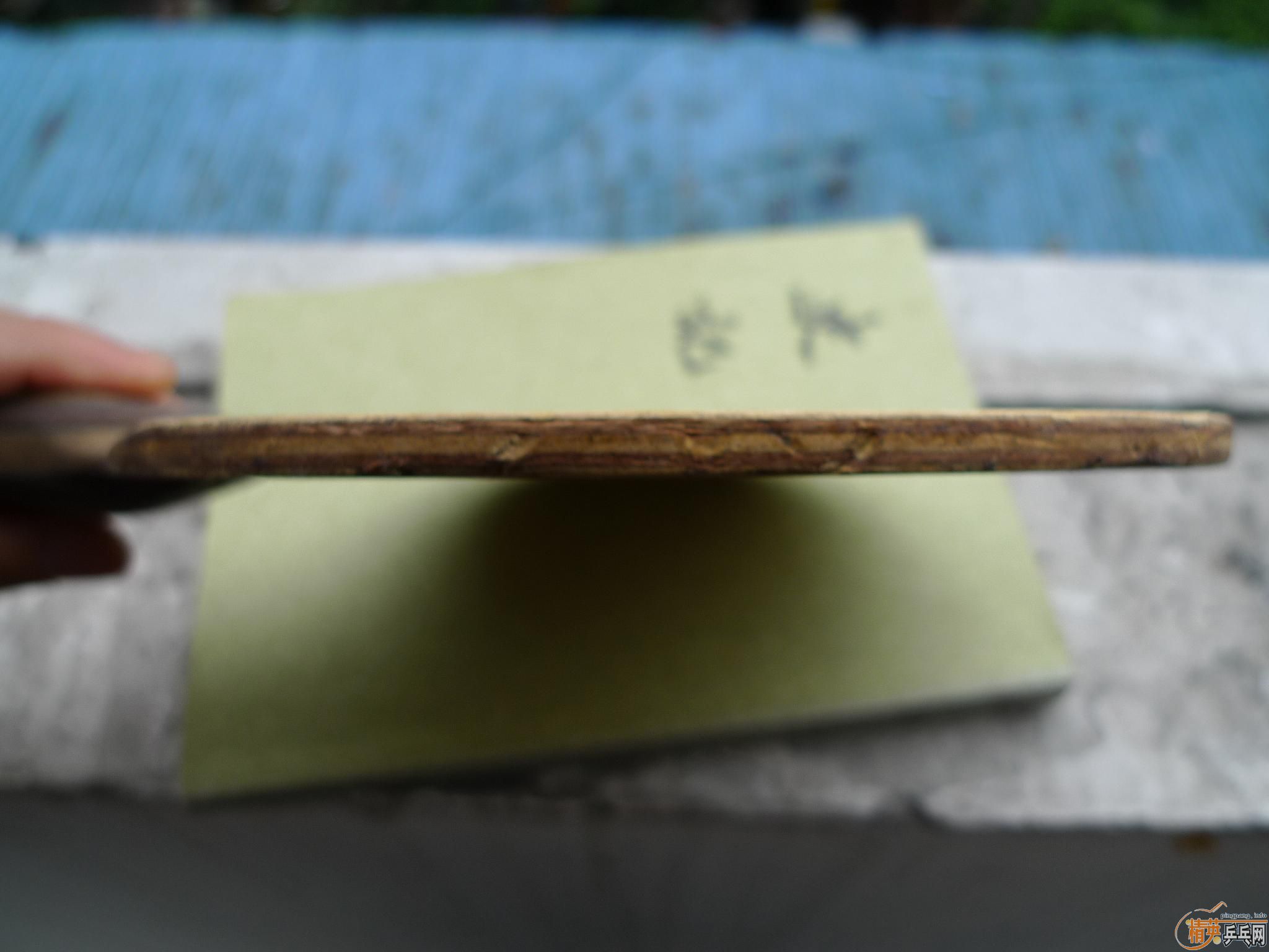 ��������С����������רҵ��