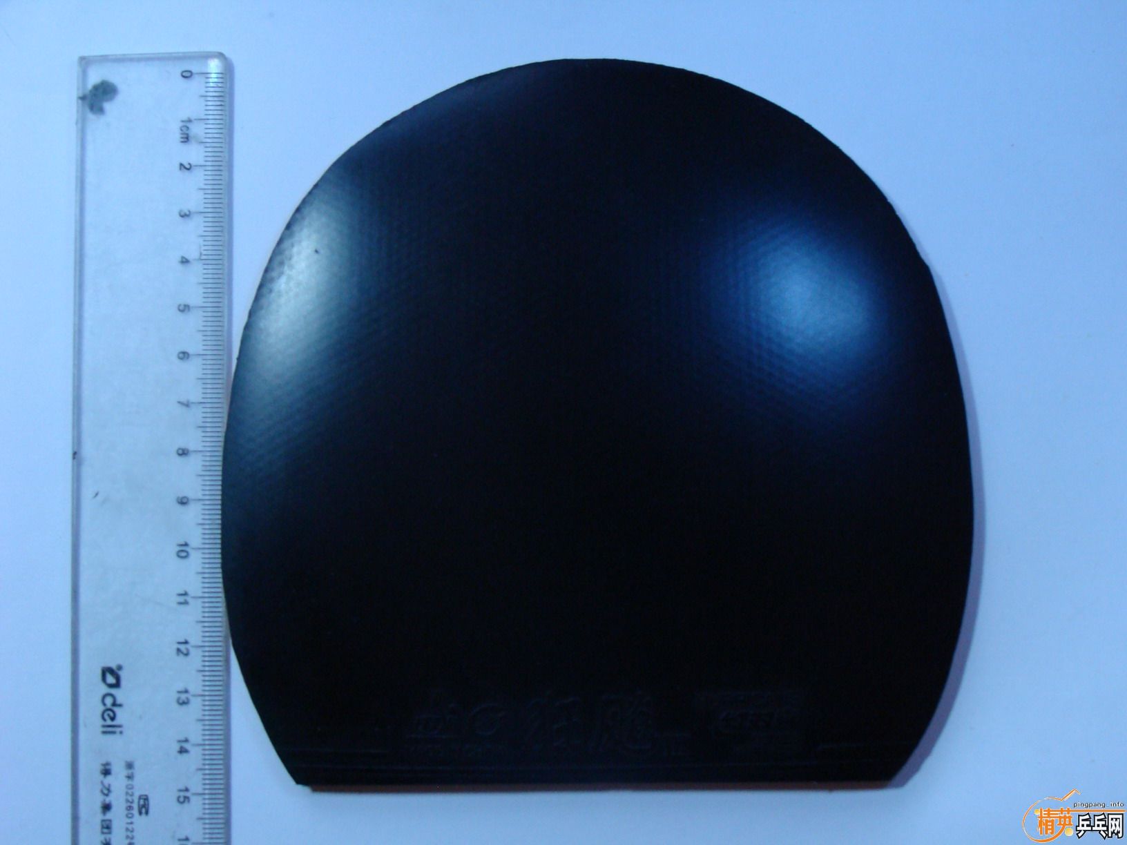 ��ʡ����41��2.2��Ƥ