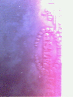 ������ų�������