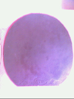 ������ų�������