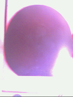 ������ų�������