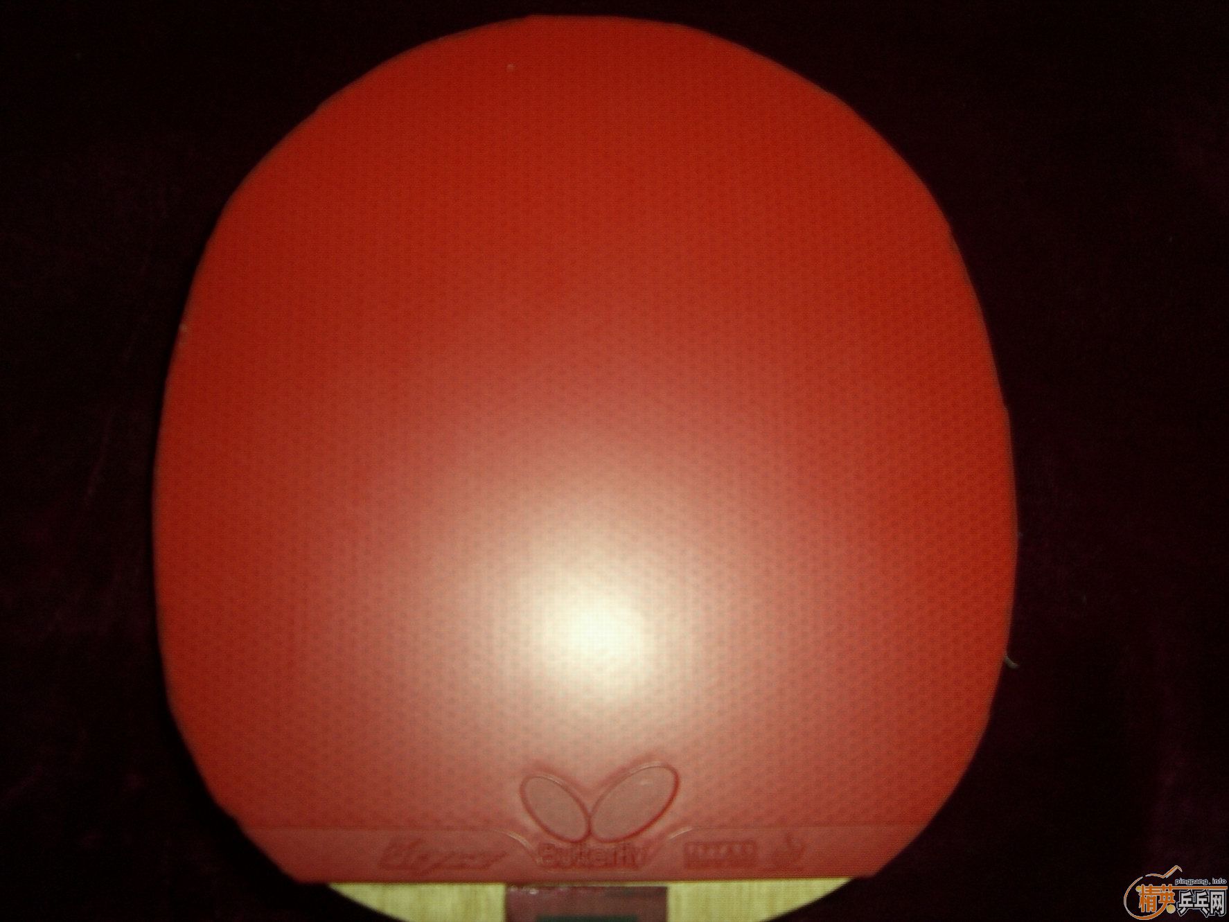 ��꿳������