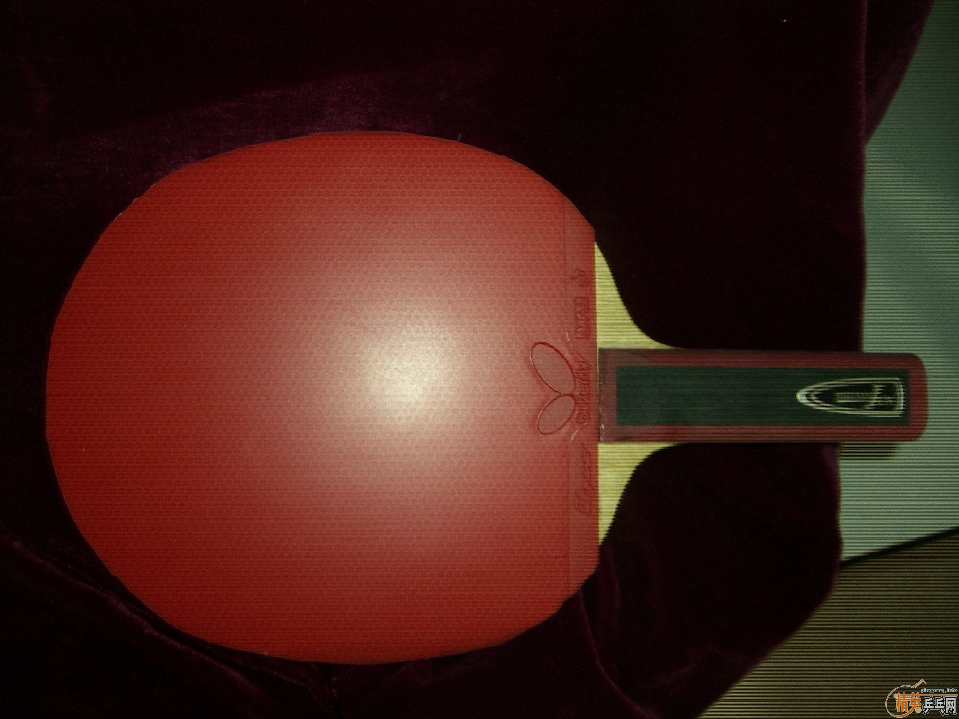 ��꿳������