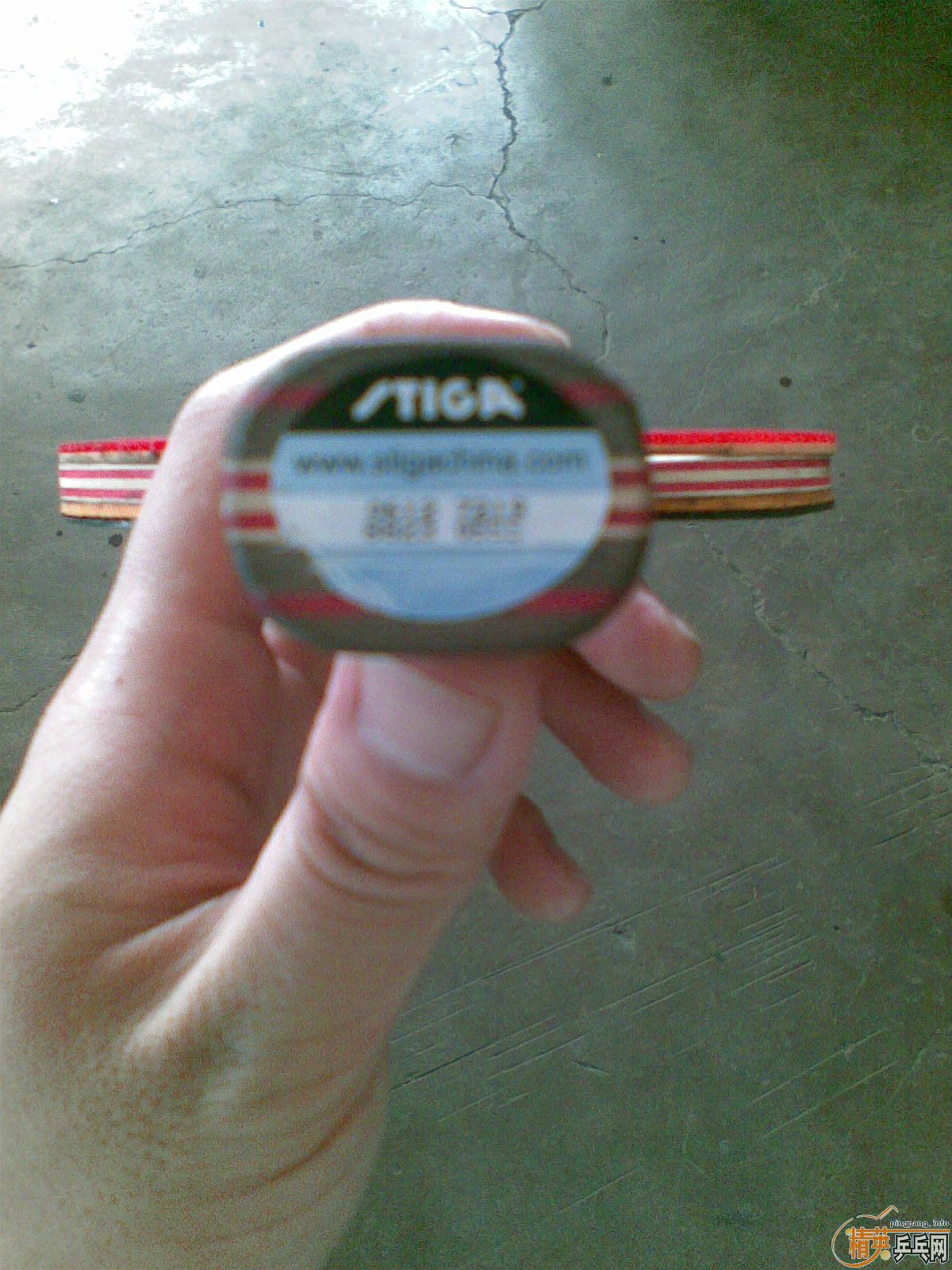 EG�ѳ����ٳ���CL��