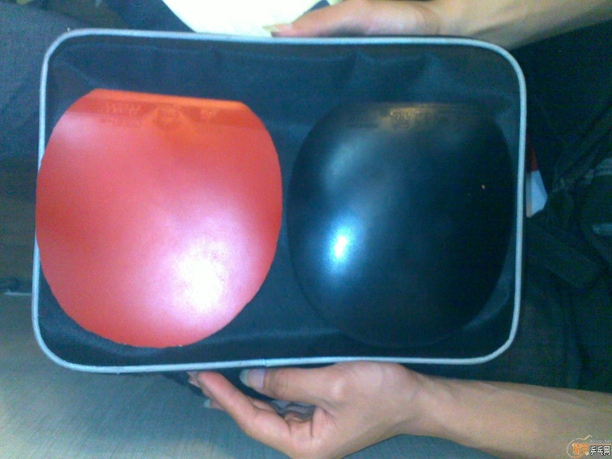 ��BOLL   ACL  FL  ���������������æת������� лл��-->micmeryת��