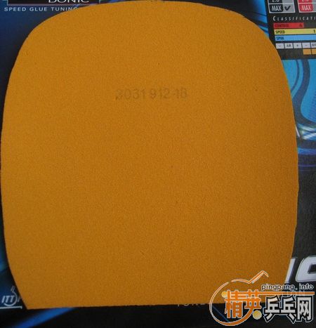 �ͼ۳���ɫ���µ�T05�Ͷ����Baracuda��