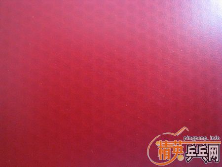 �ͼ۳���ɫ���µ�T05�Ͷ����Baracuda��