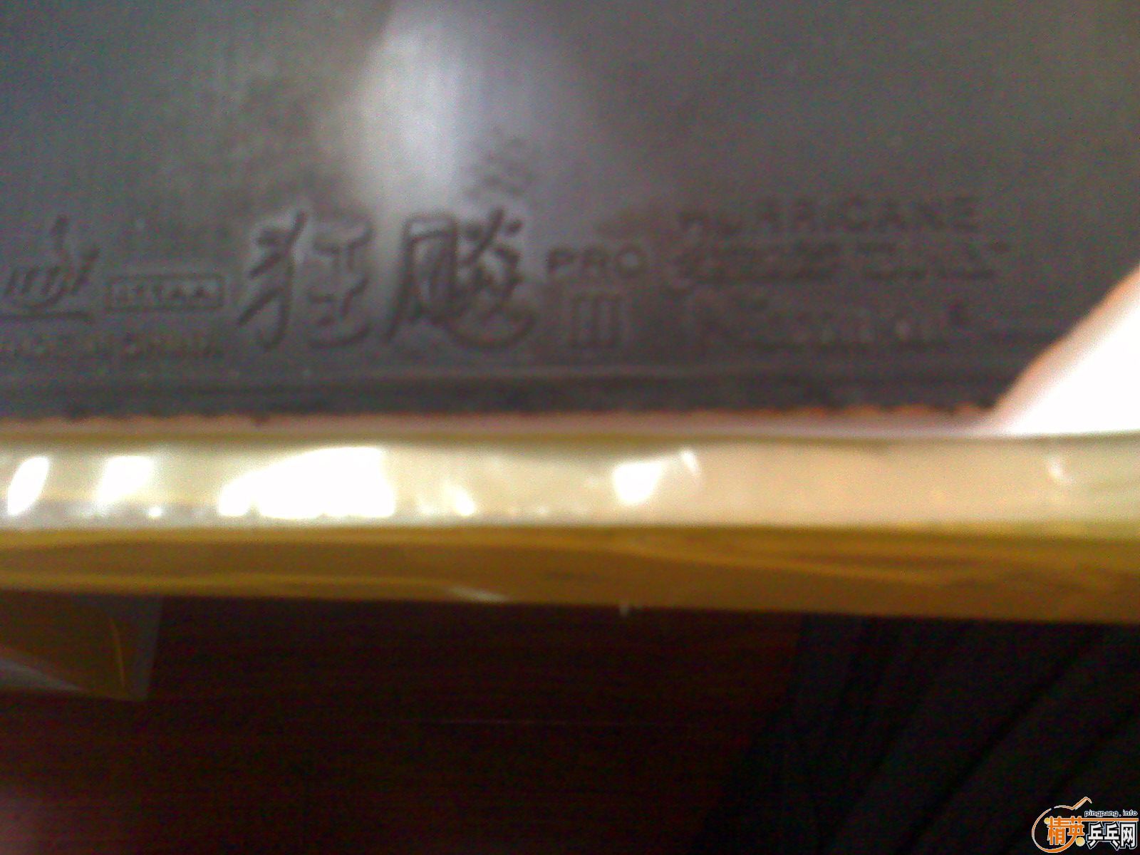 ��� ����  ������Ʊ