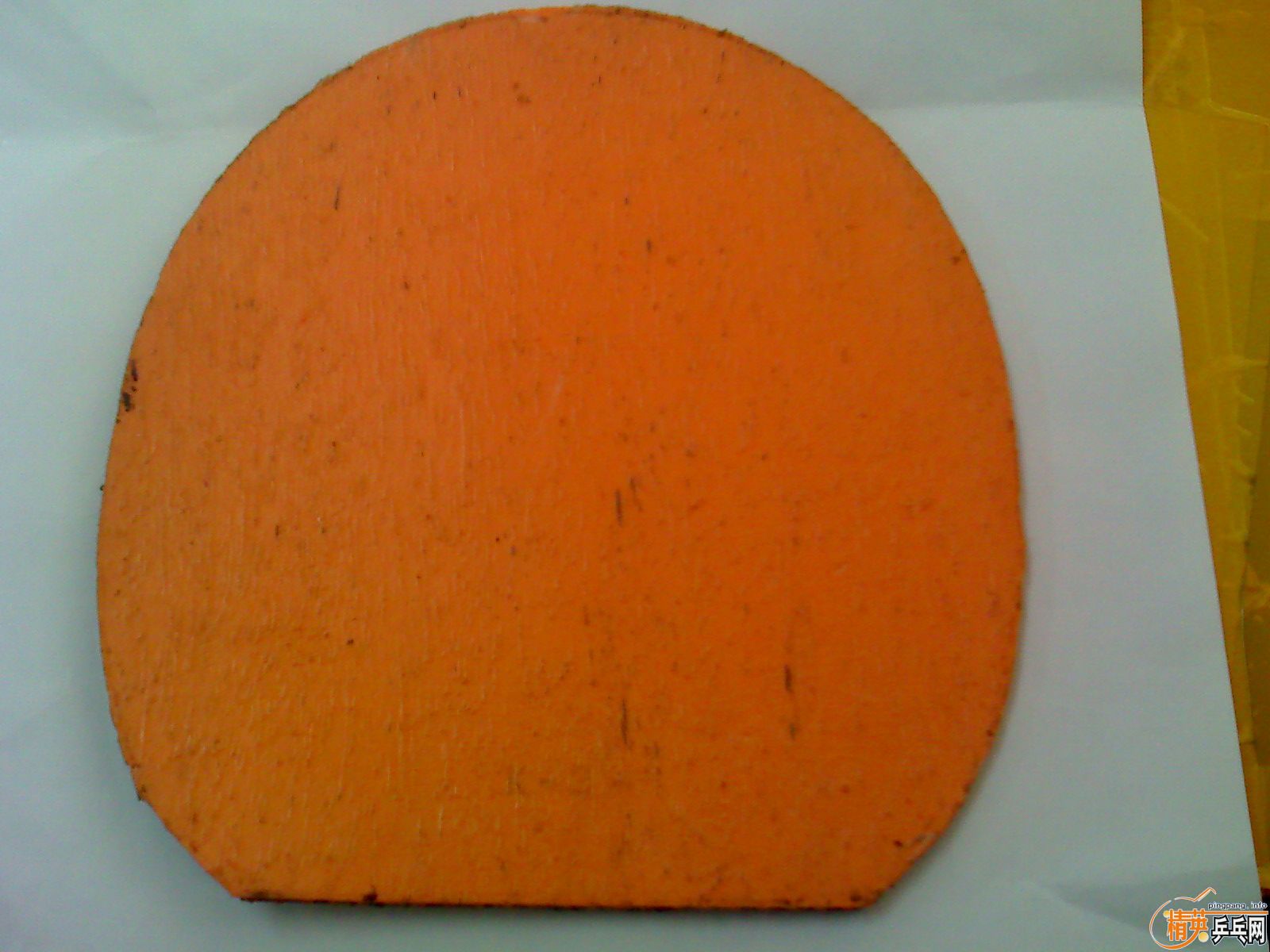 ��� ����  ������Ʊ