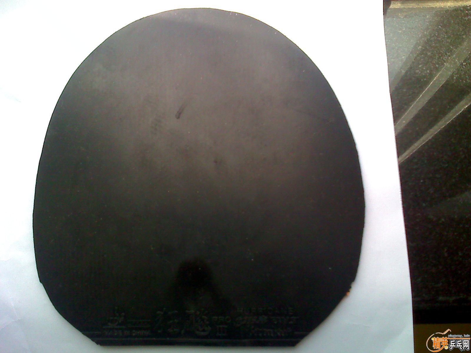 ��� ����  ������Ʊ