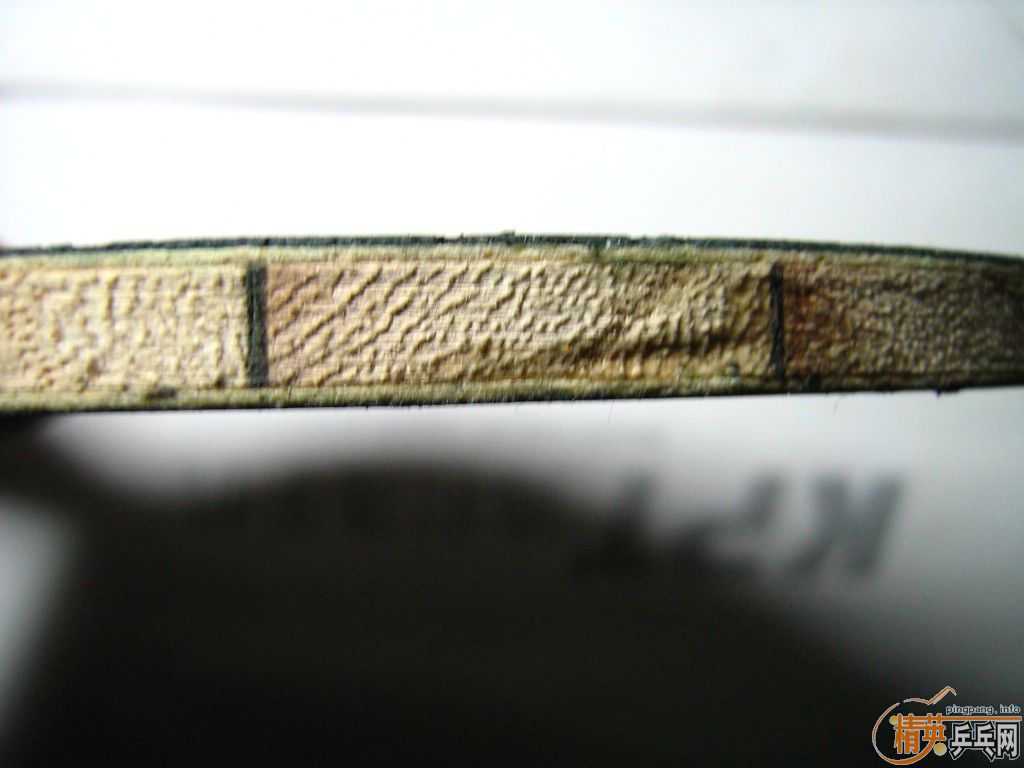 ����������̼������˭�˼�Ԧ��