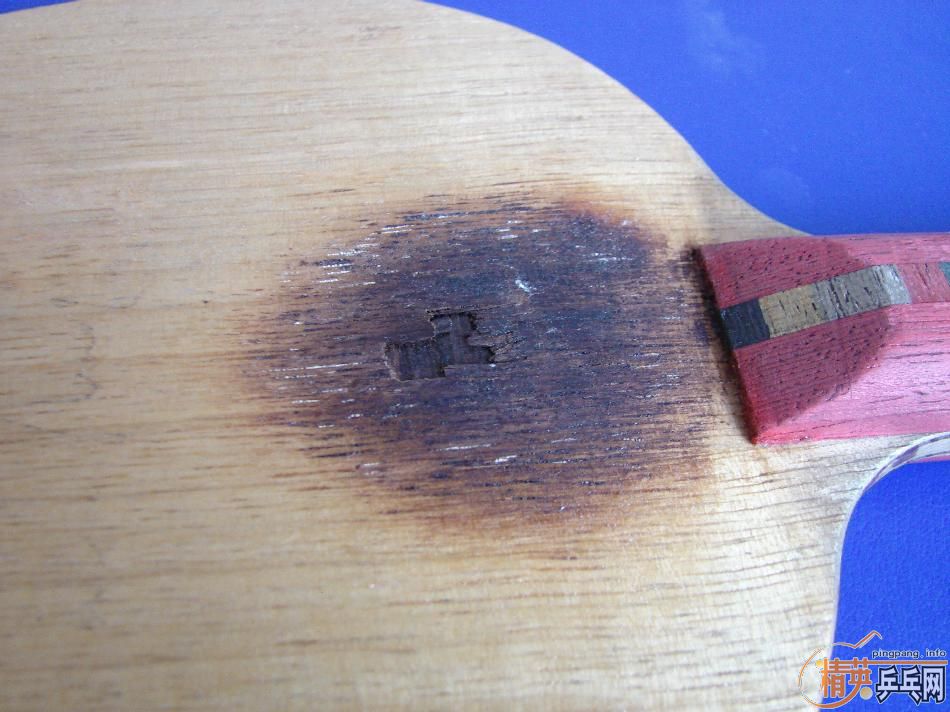 �������յ��ļ�ֻ��壬�Ժ���������