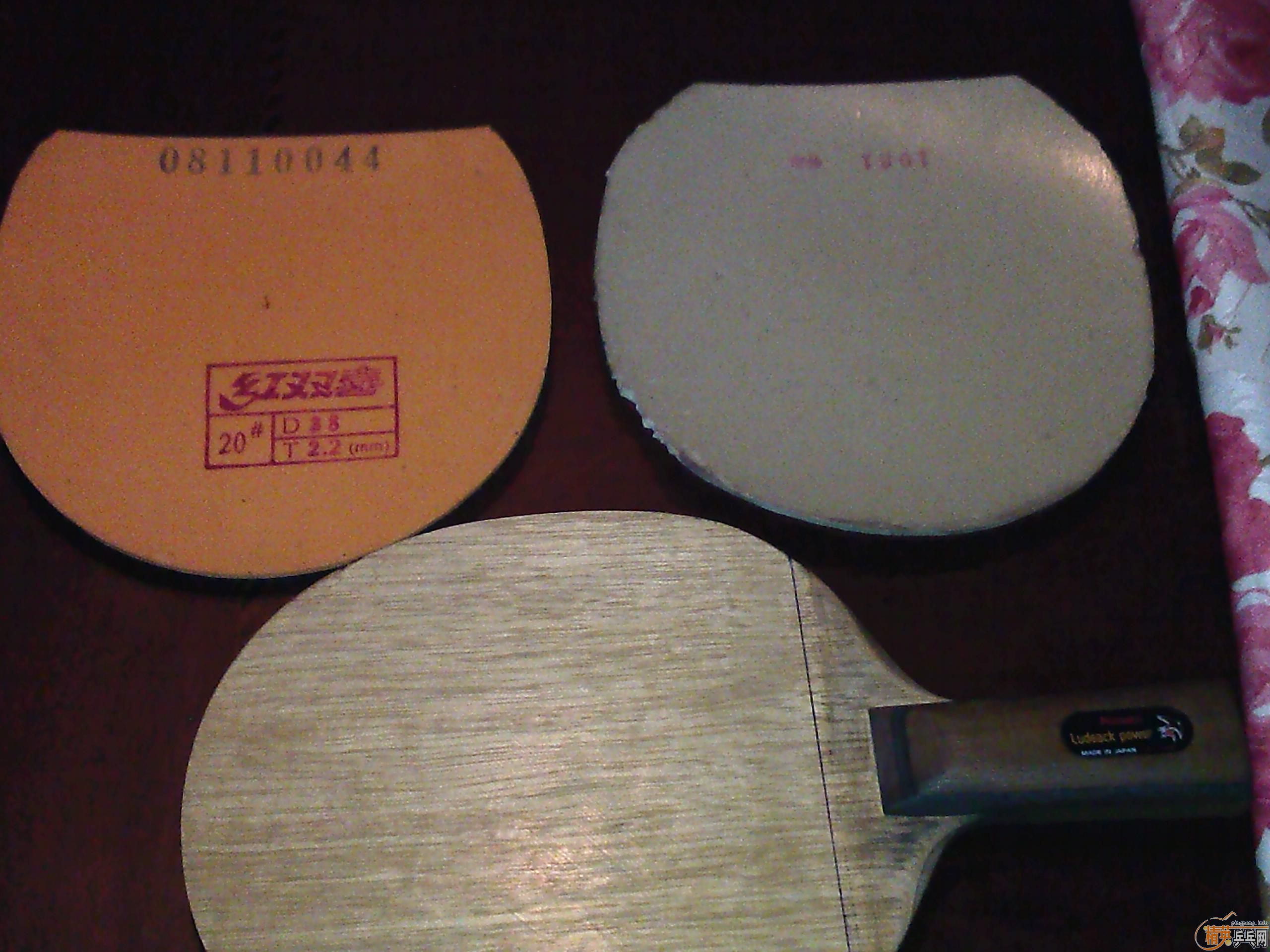 �����ִ��񣨻�Ȧ������