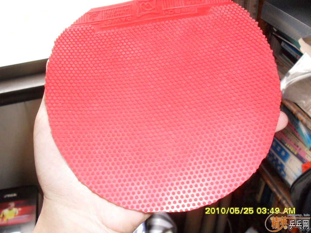 ��һֻ�� CL�� ���׽�