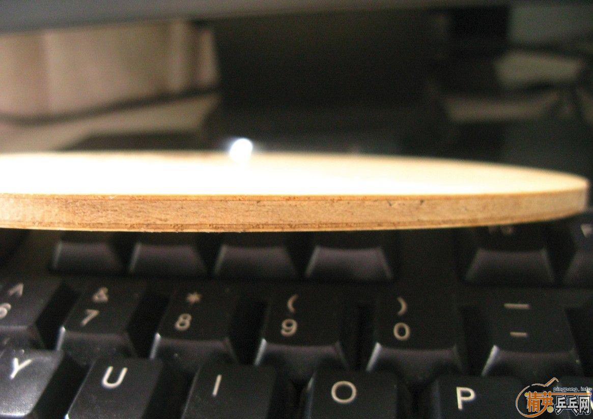 ��ֻNITTAKU ������ С����