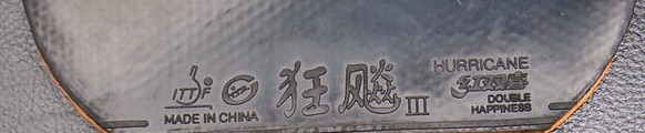 ҵVIScaria/BISIDE/޻׽һ£