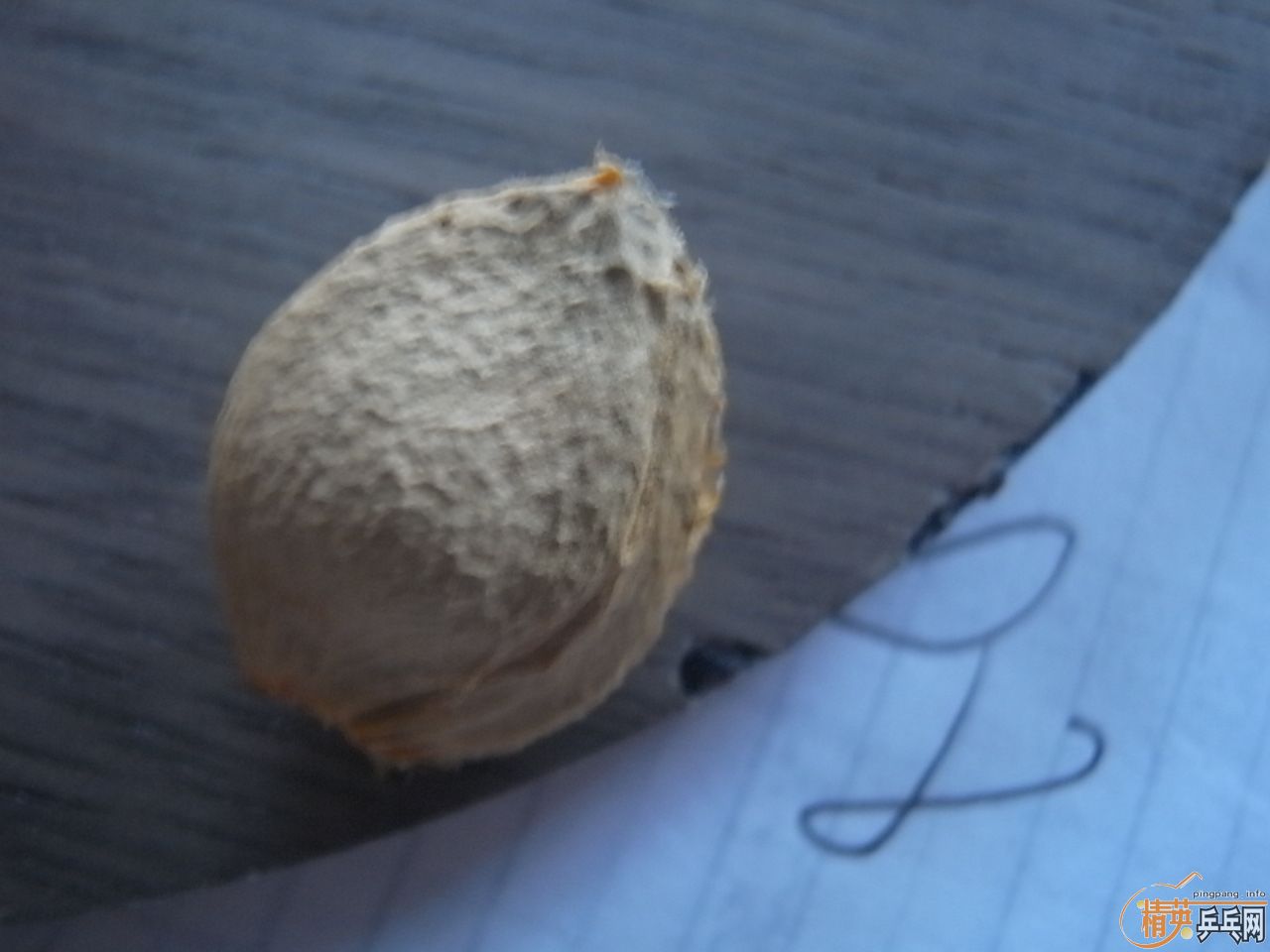 �����Ǯ�˰��������7.6 �л�