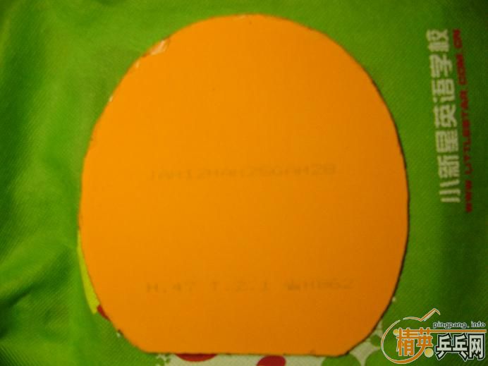 ������,��,�Ѷ���׽�ȫ����,����������