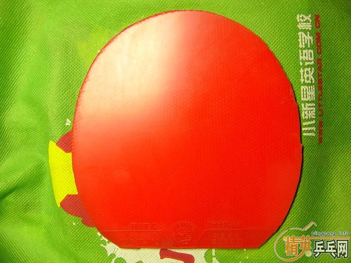 ������,��,�Ѷ���׽�ȫ����,����������