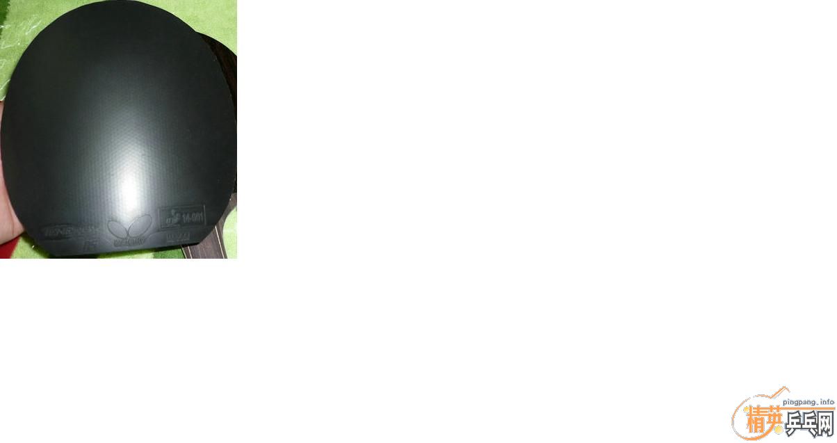 �����º�ɫ�����T05