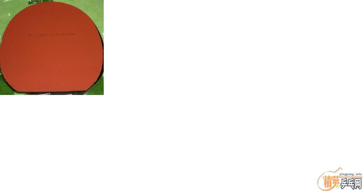 �����º�ɫ�����T05