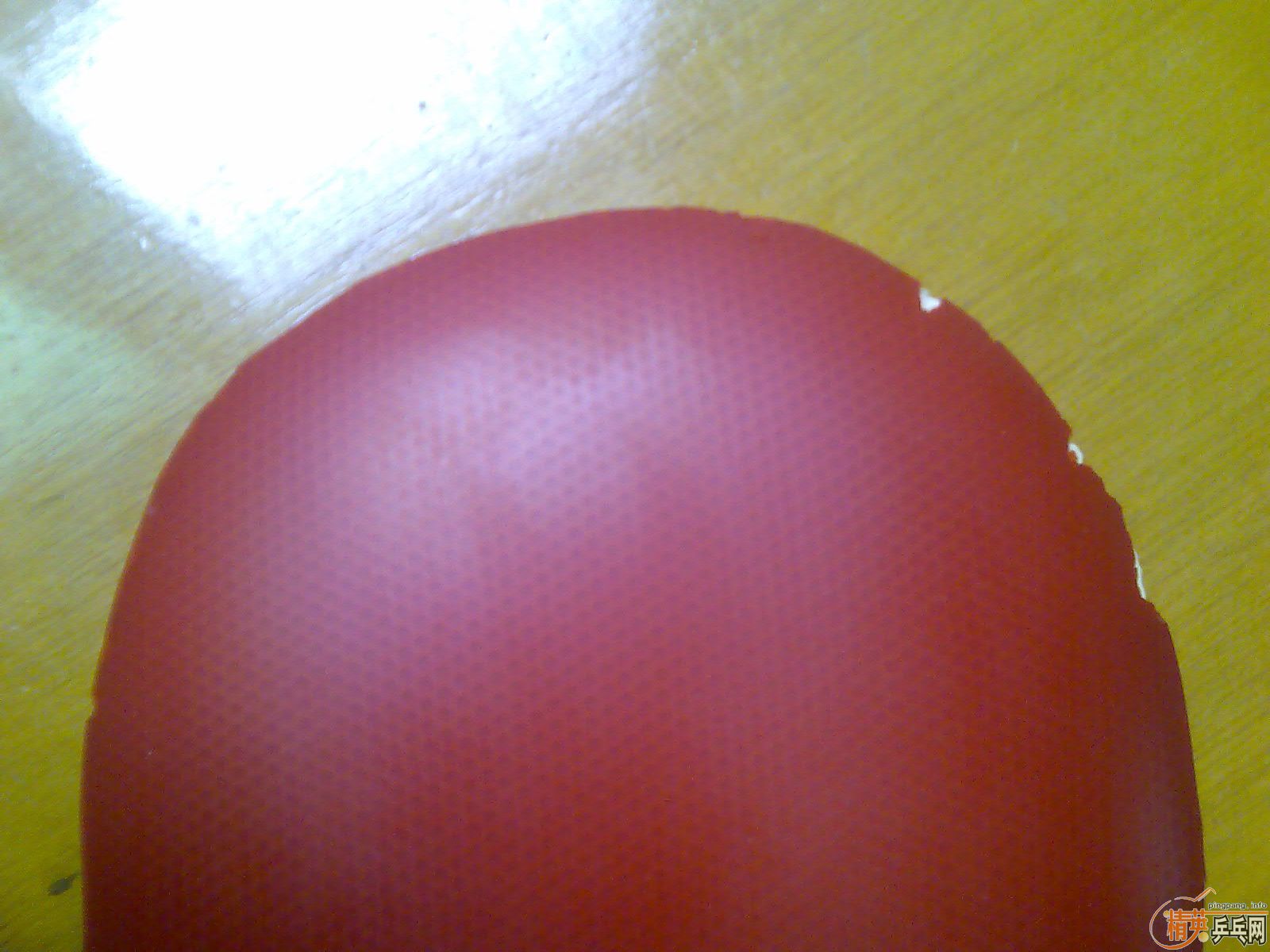 ��Щ��Ƥ ֱ�ᶼ��