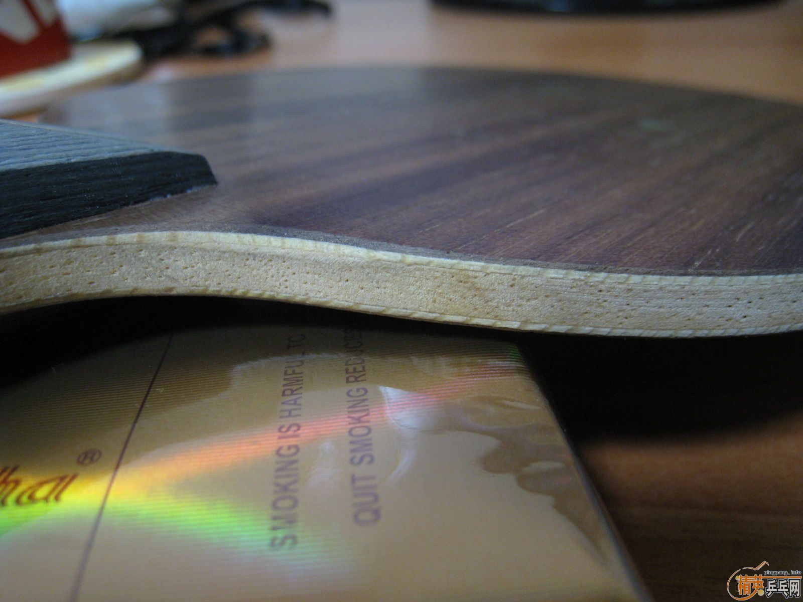 ���գ�ȫ��������YEOһֻ��