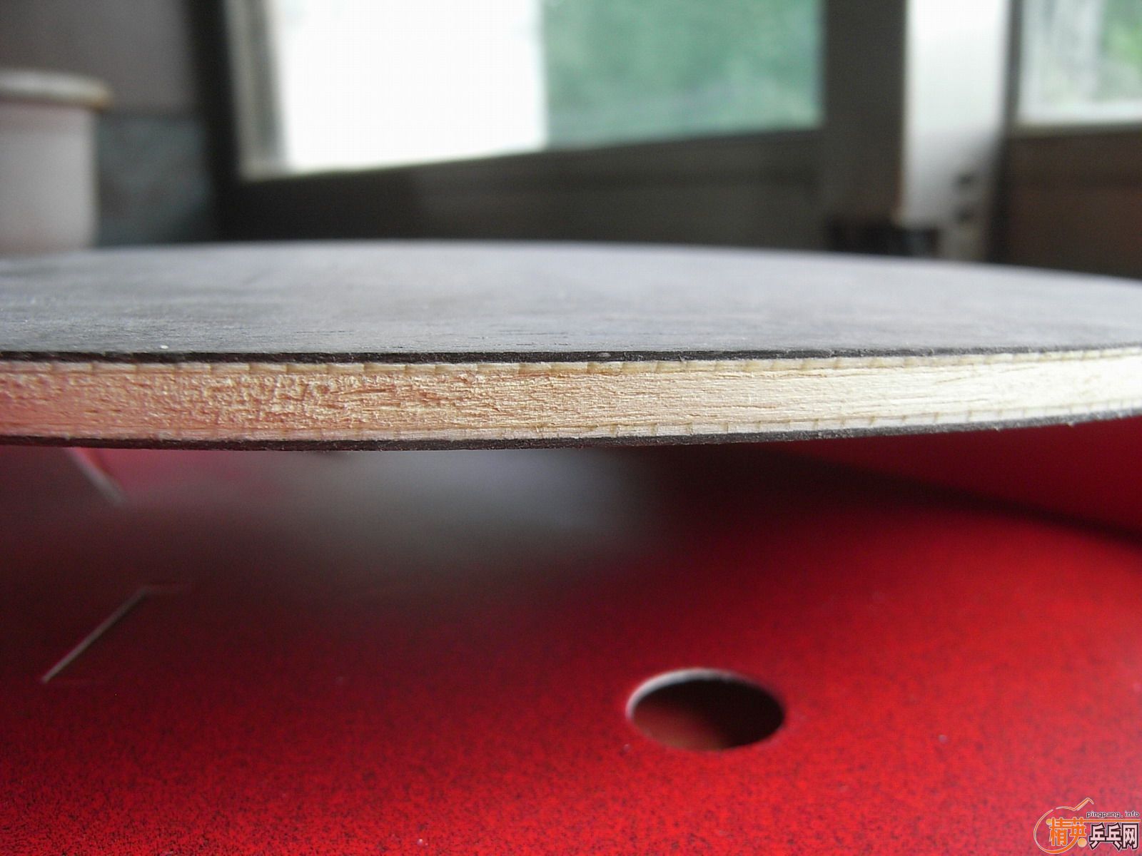 [����]һֻ��������ľ����㡢��Ȧ���ĵı�׼����ѡ��ƹ���һ����ᣩ