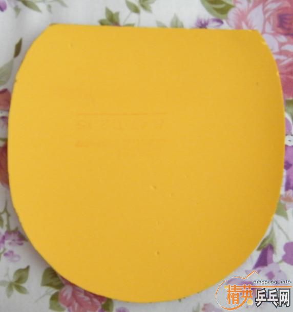 ���˳�9�¿�����729-8