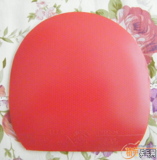 ���˳�9�¿�����729-8