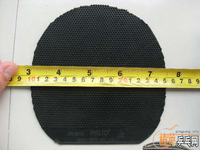 �ͼ۳������׽�������Ȥ�����ѿ�����