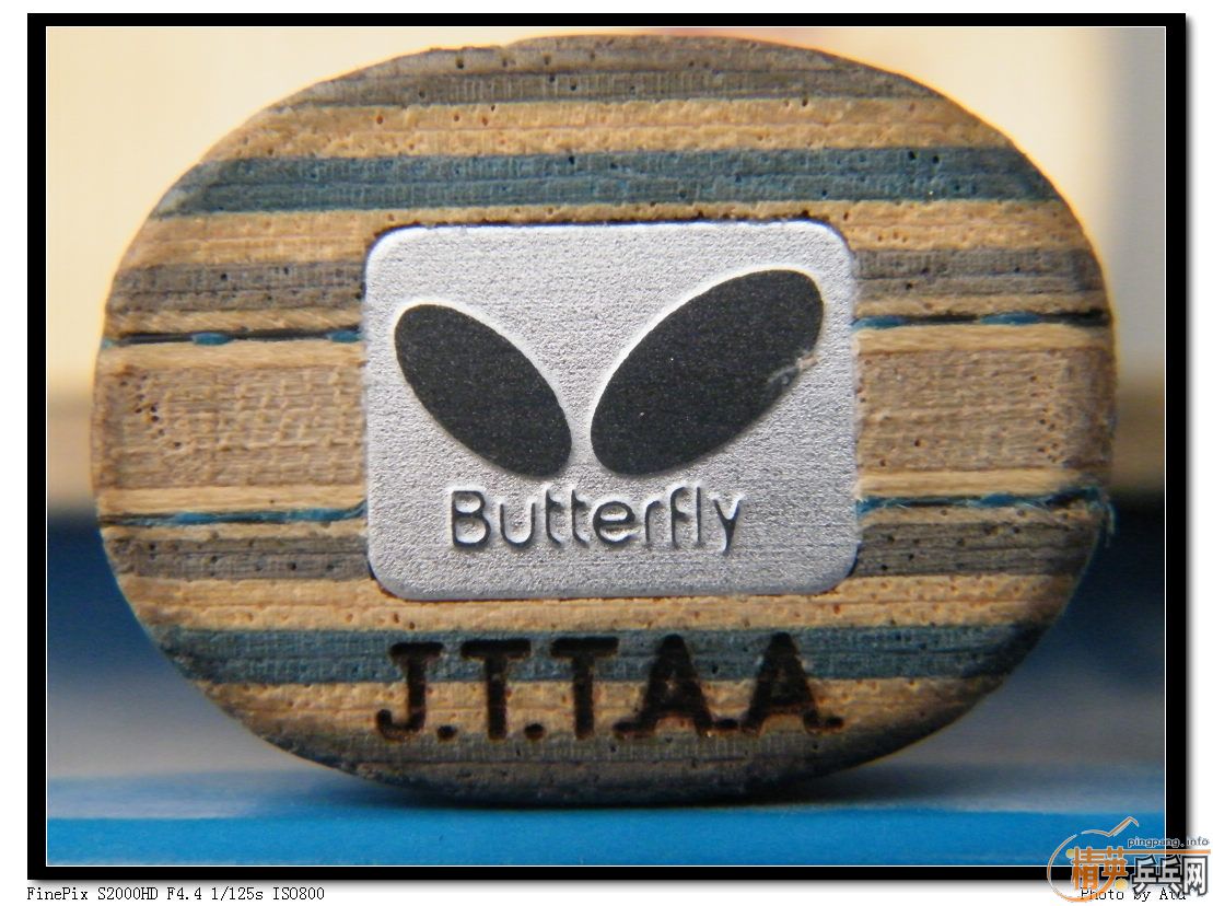 ������������ٺ���������