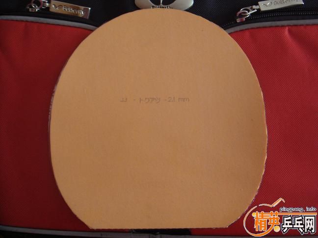 ��ֻ���һ�εĺ�ɫС����FX