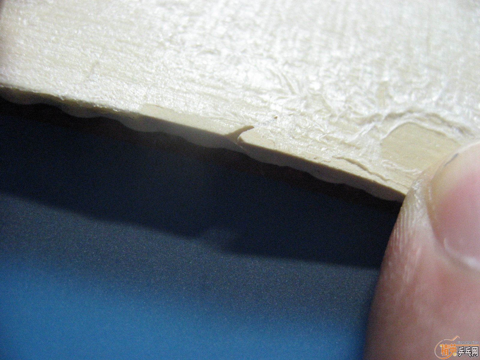 ��ɫAlmanaЭͬ,��ɫJO-gold,��ɫRenanos-HOLD