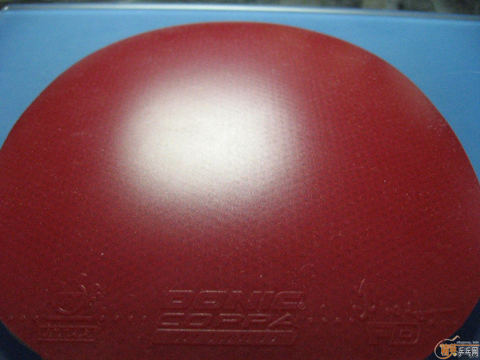 ��ɫAlmanaЭͬ,��ɫJO-gold,��ɫRenanos-HOLD