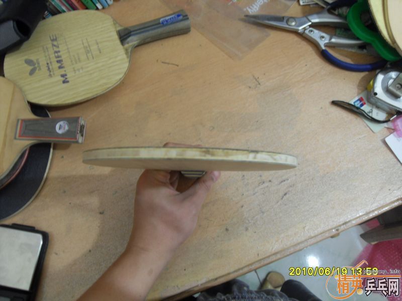 �����ͺ���������������156ţ��