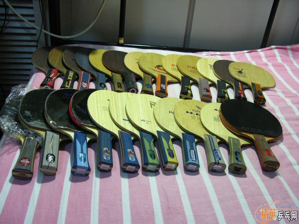 ��һֻƷ��������ѵ�boll spirit fl��600����