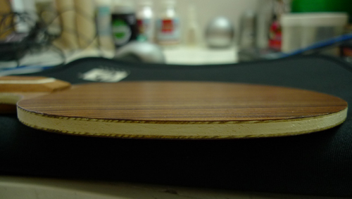 �þþ��£�STIGAõ��5���л���α����Ѫ��