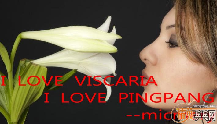 �����������innerforce zlc��