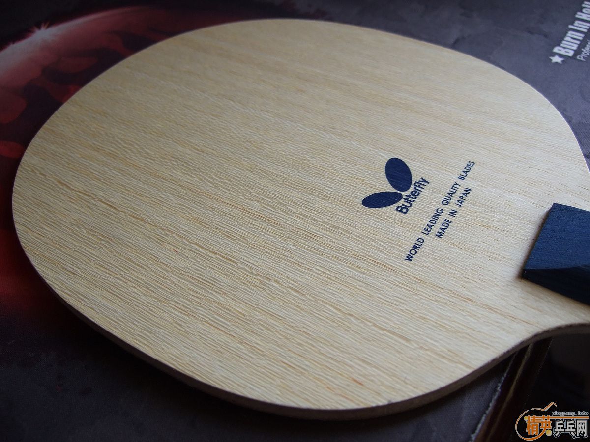 ҵ°壬˫СTIMO BOLL ZLC