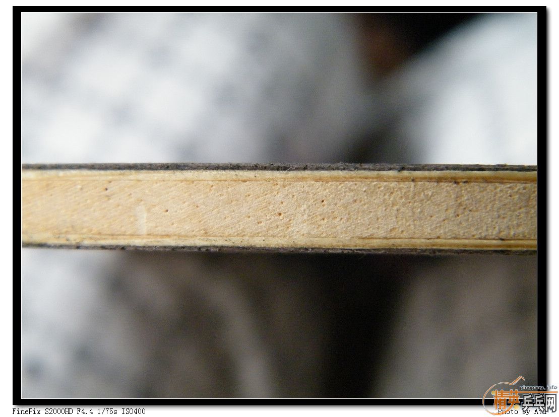 -=�л�����OC=-                           ���������д�ĥ                  ֧����