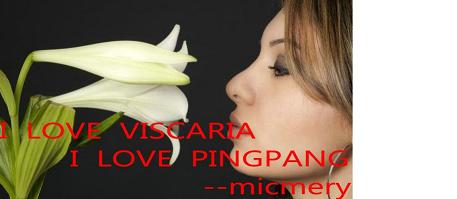 [����]9.9��ʩ̼�װ�500Ԫ qq1215429721