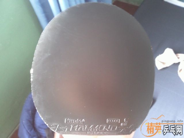 ��9.9�º�ɫMAX ���ɵ� ����