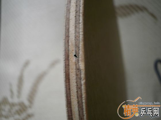 �����ִ���FL