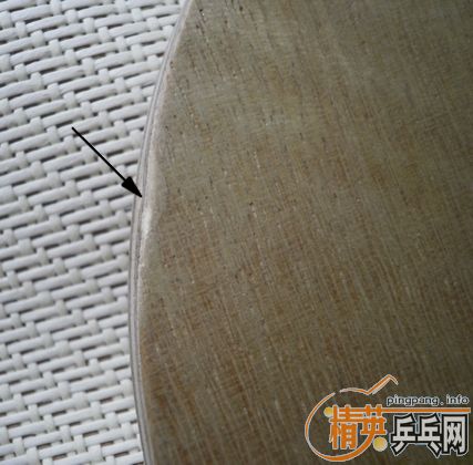 �����ִ���FL